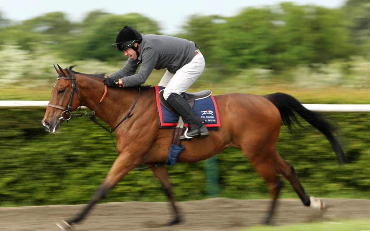 Matt Hancock riding Capeleira during a training session  - PA Archive/PA Images