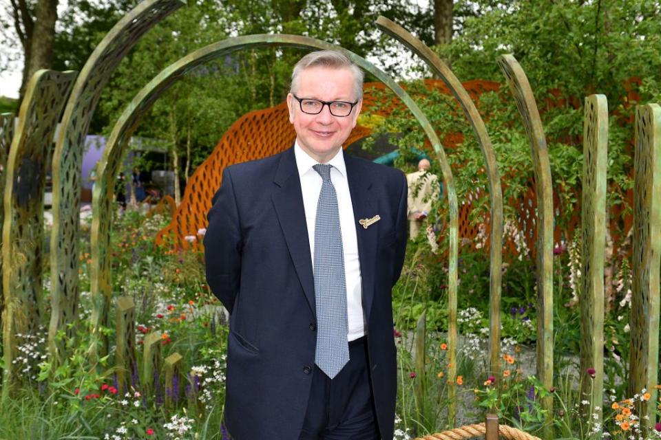 Politician Michael Gove