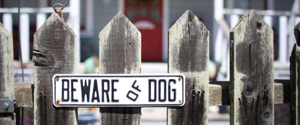 Beware of Dog sign for security on wooden fence outside of home