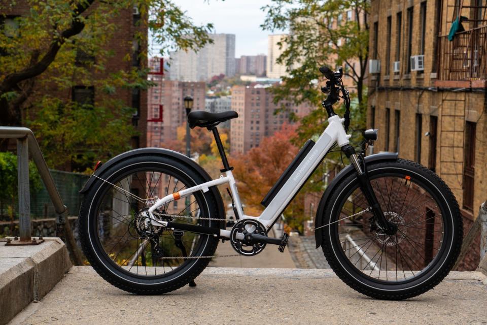 <p><a href="https://go.redirectingat.com?id=74968X1596630&url=https%3A%2F%2Fwww.radpowerbikes.com%2Fproducts%2Fradrover-plus-electric-fat-tire-bike&sref=https%3A%2F%2Fwww.bicycling.com%2Fbikes-gear%2Fa22132137%2Fbest-electric-bikes%2F" rel="nofollow noopener" target="_blank" data-ylk="slk:Shop Now;elm:context_link;itc:0;sec:content-canvas" class="link ">Shop Now</a></p><p>RadRover 6 Plus Electric Bike</p><p>radpowerbikes.com</p><p>$1600.00</p><span class="copyright">Chris Goldin</span>