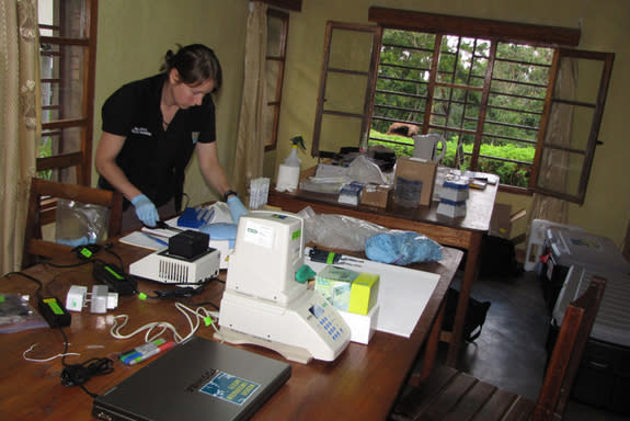 Everything Tracie Seimon's mobile microbiology laboratory includes has to fit within just a few suitcases. Here Seimon is conducting work in a pop-up laboratory in Uganda.