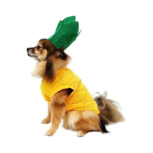 Pineapple Dog Costume