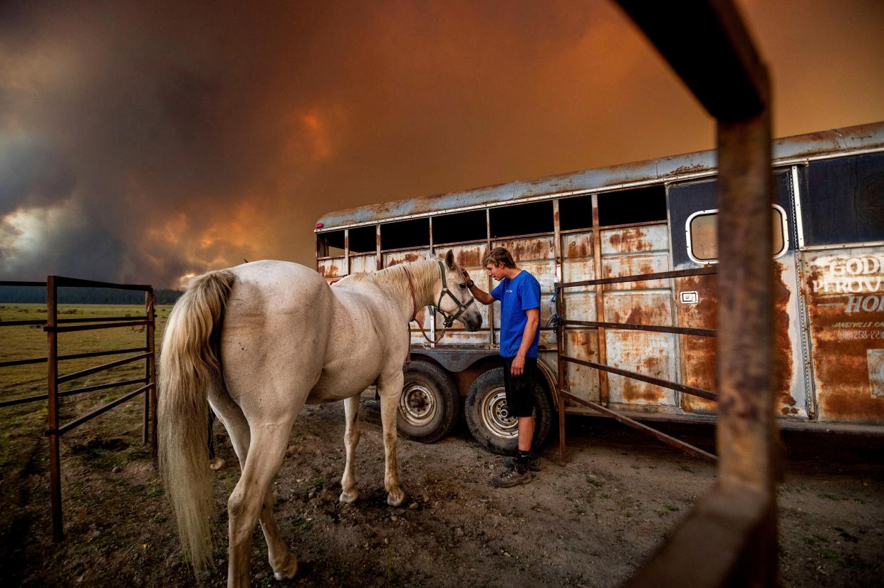 Hunter McKee pets Rosy after helping evacuate the horse to the edge of Lake Almanor as the Dixie Fire approaches Chester, Calif. on Tuesday, Aug. 3, 2021. Officials issued evacuation orders for the town earlier in the day as dry and windy conditions led to increased fire activity.