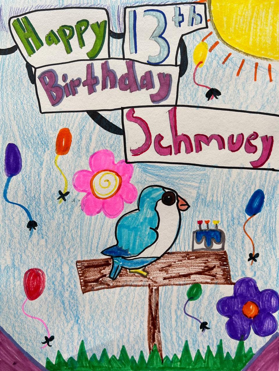 Artwork of Schmuey the parrot from the Arts Center of Newcomerstown by Addi Fox