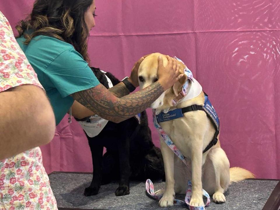 Sutter Health’s Child Life Facility Dog Program celebrated their 20th anniversary on Wednesday, Aug. 9, in the lobby of Sutter Health Medical Center. Two of the facility Canine Companions posed in the dog photo booth at the event.