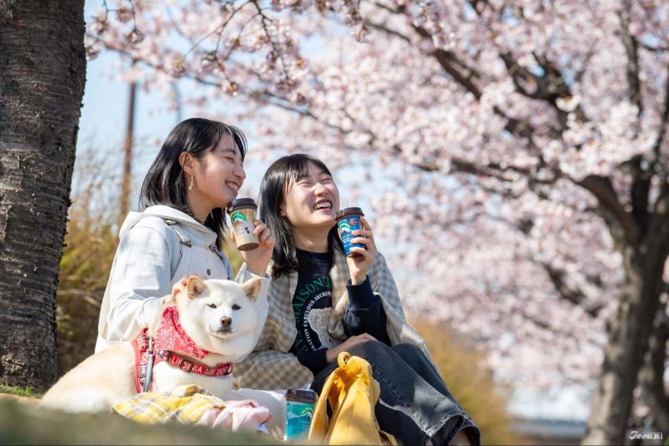 日本超商即飲拿鐵咖啡Mt.RAINIER