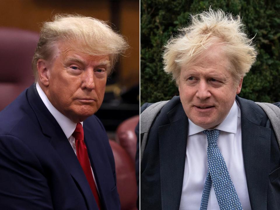 Donald Trump and Boris Johnson have taken politics “to a new level of madness” it is claimed  (Getty)
