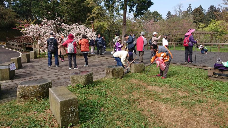 嘉義林管處邀請居民及遊客共同清理家園、活絡迎接花季的氣氛   圖：林務局嘉義林區管理處/提供