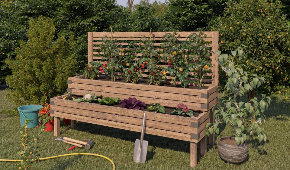 Wood raised garden bed with two tiers filled with growing vegetables; top tier has a trellis behind it.