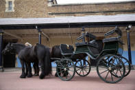 Britain's Prince Philip The Duke of Edinburgh's driving carriage and his two Fell ponies, named Balmoral Nevis and Notlaw Storm, pictured at Windsor Castle, Windsor, England, Friday April 16, 2021. Prince Philip's love of carriage-driving is to be a central feature of his funeral on upcoming Saturday April 17, when the carriage and ponies will be present with two of his grooms in the Quadrangle of Windsor Castle during the procession. The four wheeled carriage was designed by Prince Philip eight years ago. Prince Philip died at the age of 99 on April 9. (Steve Parsons/Pool via AP)