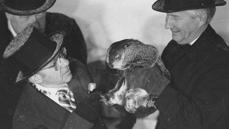 In 1985,  Punxsutawney Phil saw his shadow and predicted six more weeks of winter. Womp womp. - Bettmann Archive/Getty Images