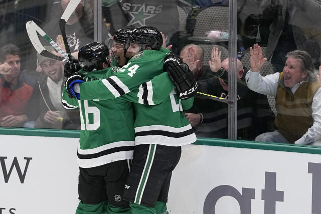 Refs and St Louis Blues tag team the Dallas Stars 2-1