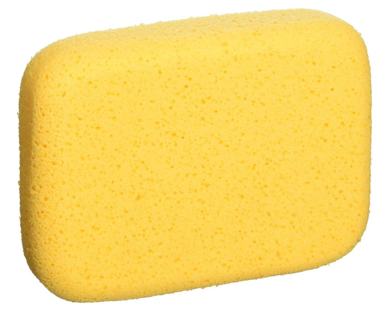 Yellow Sponge