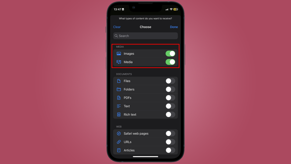 Image showing how to select file formats