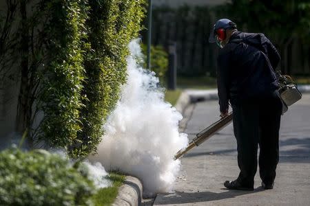 A worker sprays insecticide for mosquitos at a village in Bangkok, Thailand, January 13, 2016. REUTERS/Athit Perawongmetha/File Photo