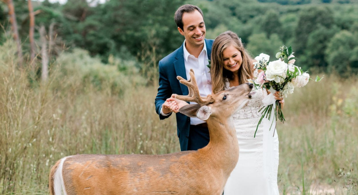 A gentle photo-bomber crashed the picture session of newlyweds Luke and Morgan Mackley. (Photo: Laurenda Marie Photography