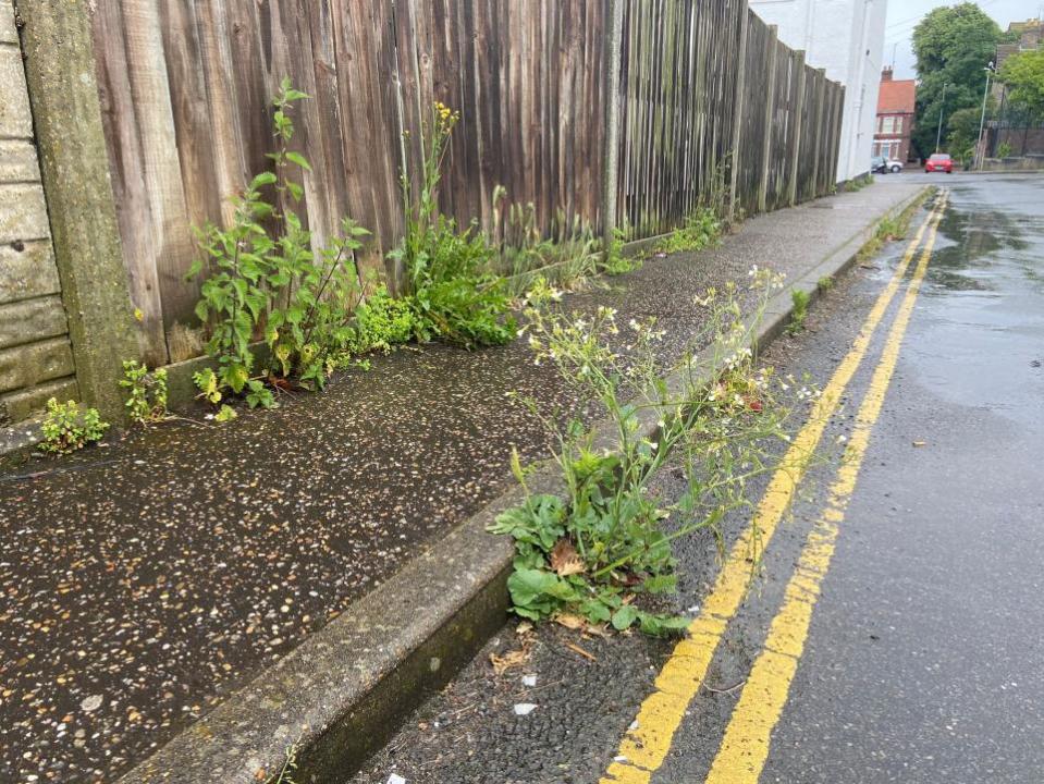 Eastern Daily Press: Weeds sprouting from the roadside on Clarkes Road, Gorleston.