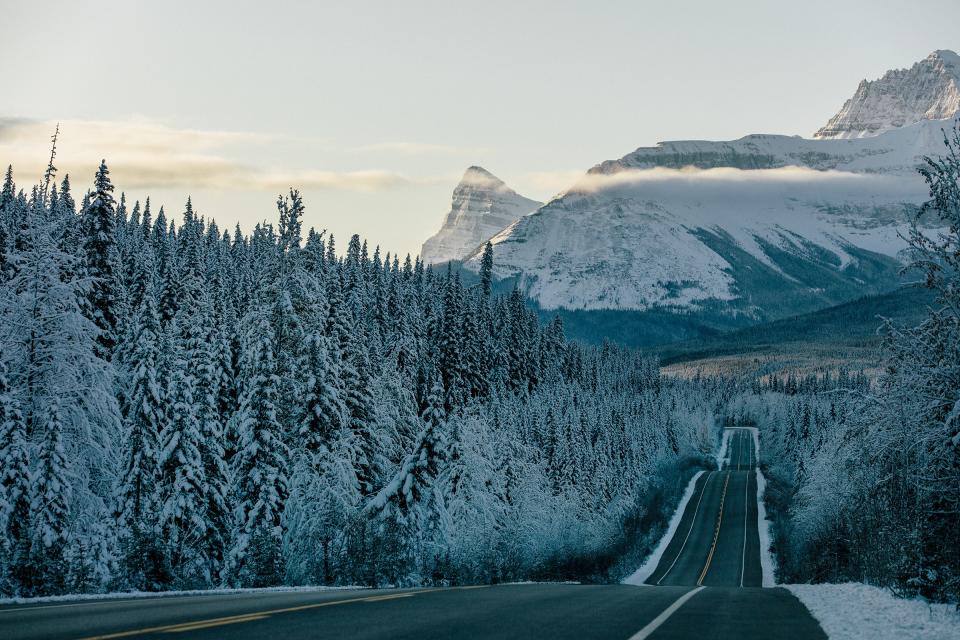 The view on the way from Jasper back to Calgary isn't so bad.