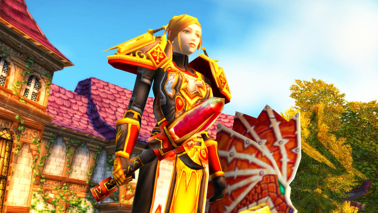  World of Warcraft Paladin character. 