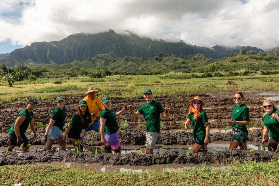Lend a hand by tending to the taro patch at Kakoʻo Oiwi Farm on Oahu