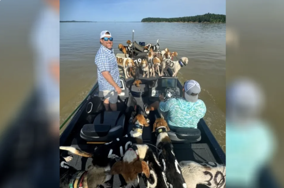 The three men grabbed the exhausted dogs by their collars and dragged them into their boat (Bob Gist)