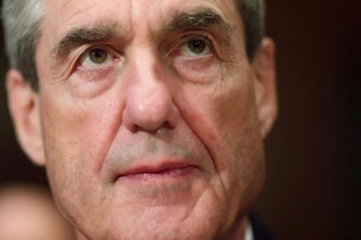 Special Counsel Robert Mueller, head of the Russia meddling investigation, has already indicted 33 people, including members of Russia's GRU military intelligence, and secured convictions against former aides to Donald Trump