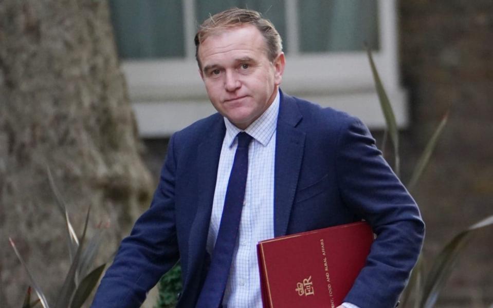 Environment Secretary George Eustice arriving in Downing Street - PA