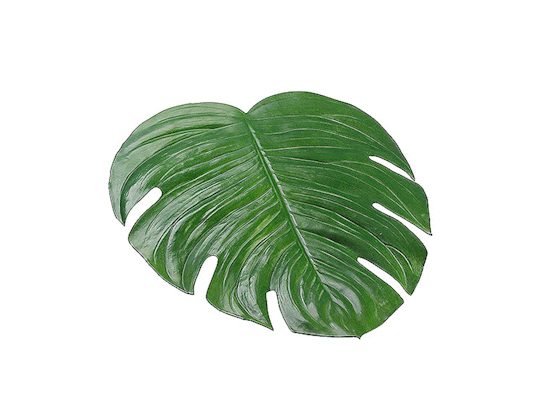 Unlike real cut leaves, these awesome monstera-leaf-inspired placemats will never wilt or turn brown.