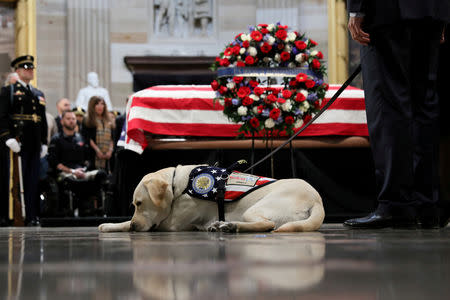 FILE PHOTO: Sully the service dog of former U.S. President George H.W. Bush lays in front of Bush's casket as it lies in state inside the U.S. Capitol Rotunda on Capitol Hill in Washington, U.S., December 4, 2018. REUTERS/Jonathan Ernst/File Photo