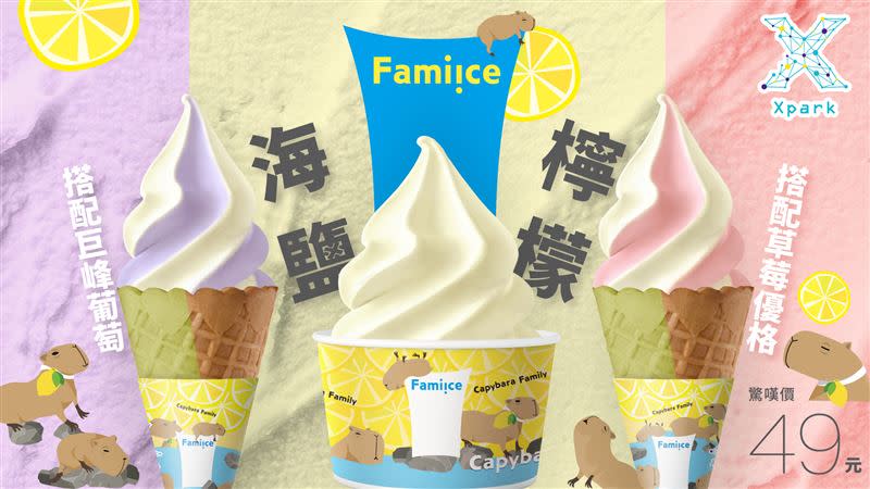 Xpark×全家Fami!ce聯名冰淇淋「海鹽檸檬新口味」。（圖／品牌業者提供）