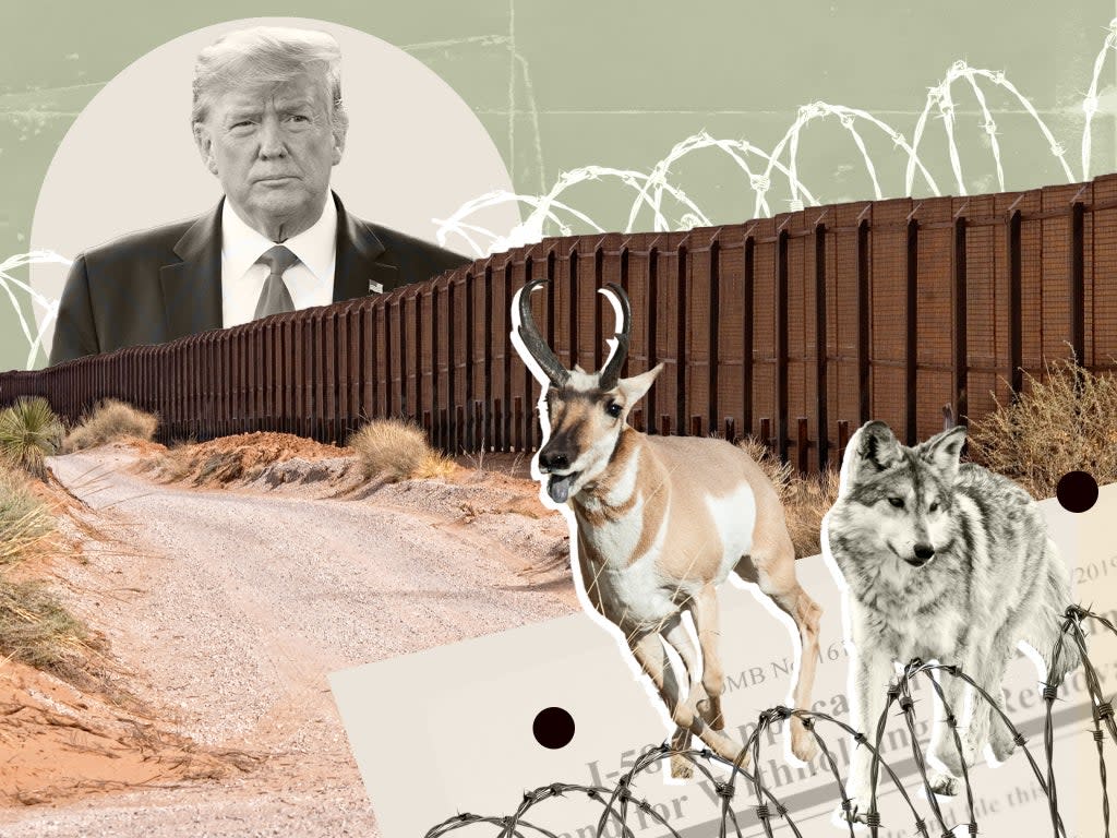 The US-Mexico border wall could obstruct the movement of 122 mammal species as they are displaced by the effects of climate change, a recent study found (Getty/The Independent)