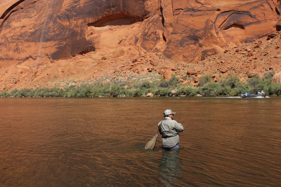 Michael Cravens, of Arizona Wildlife Federation, fly fishes for rainbow and brown trout in the Colorado River near Lees Ferry.