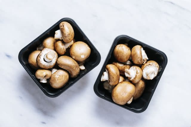 Large & Small Airtight Mushroom Containers