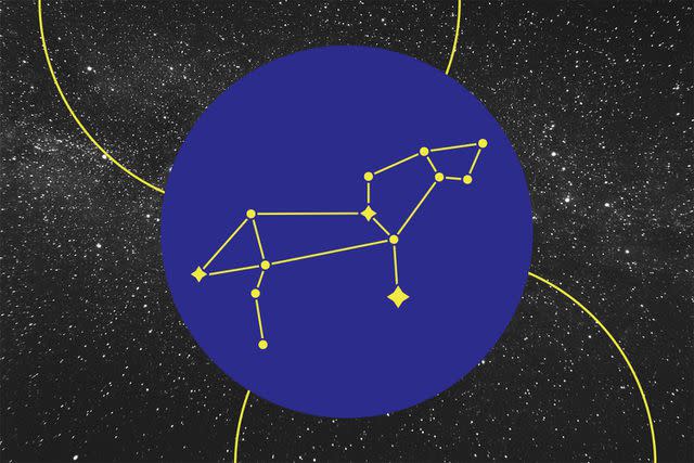 Zodiac constellation Leo