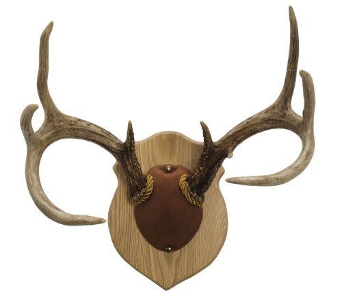 Walnut Hollow Antler Mounting Kit