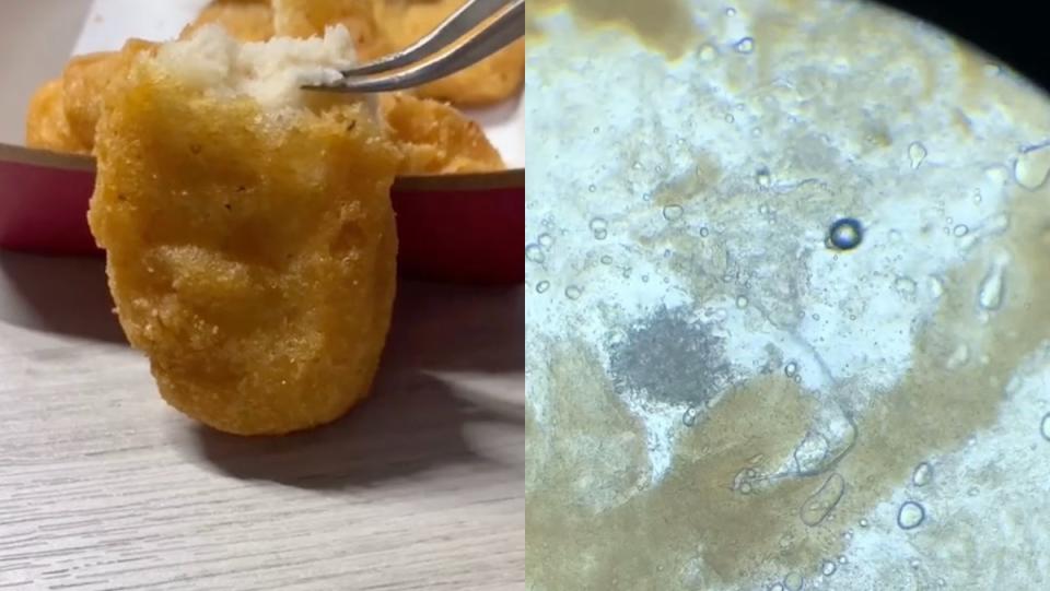A Chicken McNugget next to a microscope slide showing it highly magnified
