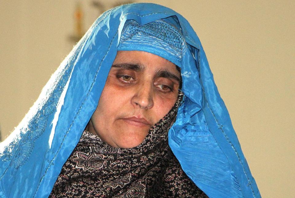 Sharbat Gula