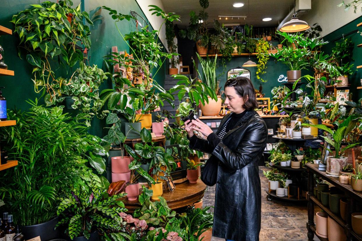 <span>Kari Paul at Crimson Horticultural Rarities in Oakland, California.</span><span>Photograph: Winni Wintermeyer/The Guardian</span>