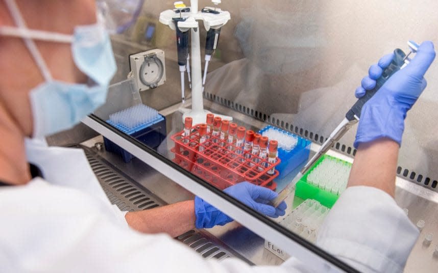 Samples from coronavirus vaccine trials are handled inside the Oxford Vaccine Group laboratory in Oxford