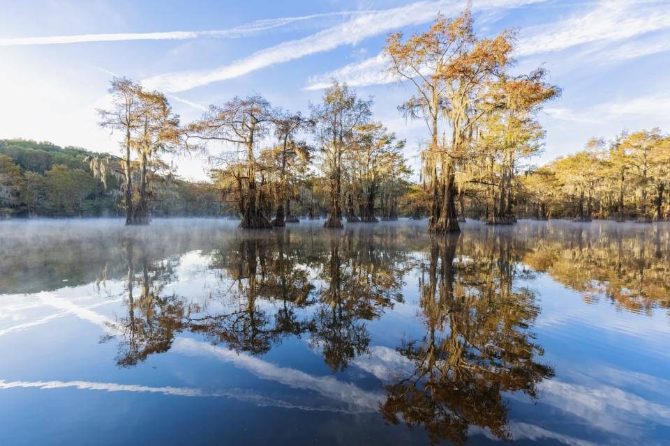 Caddo Lake, Texas and Louisiana