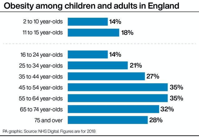 Obesity among children and adults in England