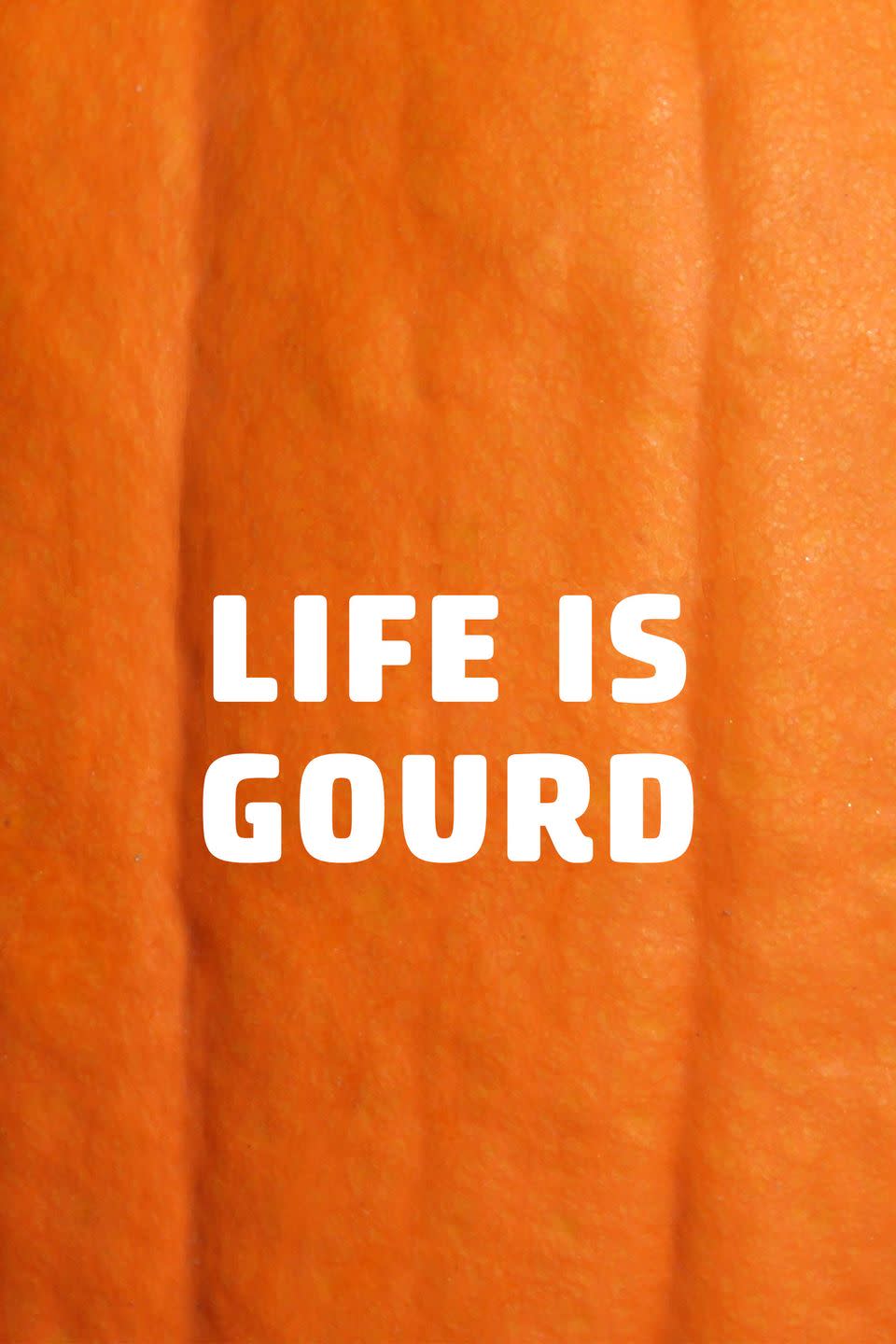 49) Life Is Gourd