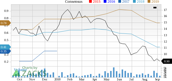 LATAM Airlines (LTM) has witnessed a significant price decline in the past four weeks, and is seeing negative earnings estimate revisions as well.