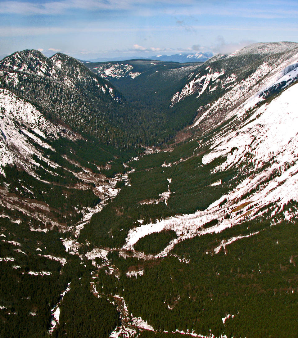 <p>Green River Valley in Washington as seen from the air. (Photo: Air Cascade Forest Conservancy) </p>