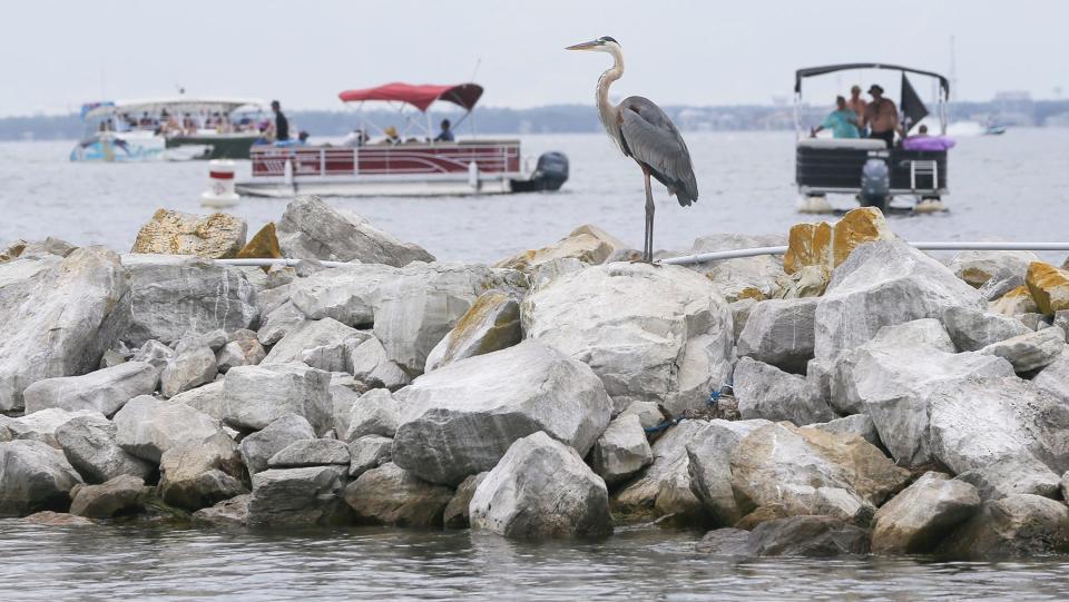 A heron perches on a breakwater at Coast Guard Station Destin, where law offers on Wednesday announced plans for Operation Dry Water for the Fourth of July weekend.