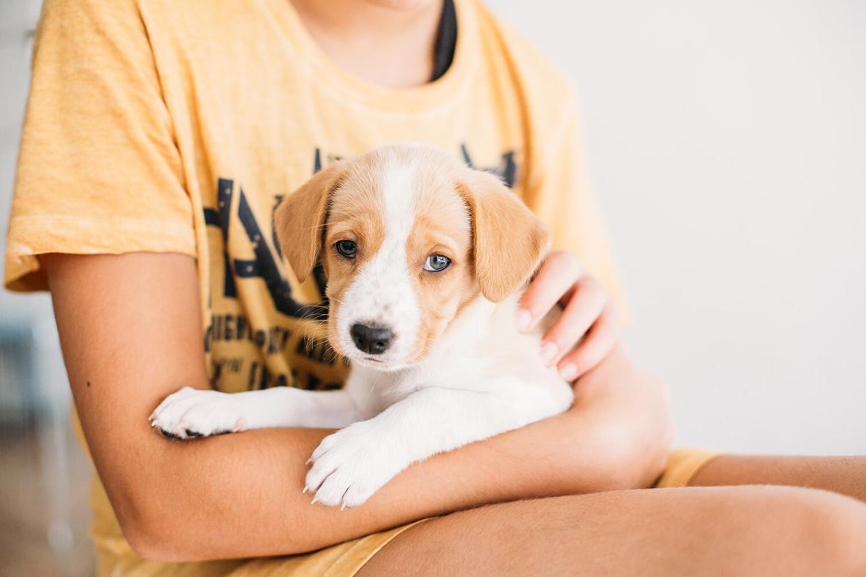 woman holding dog