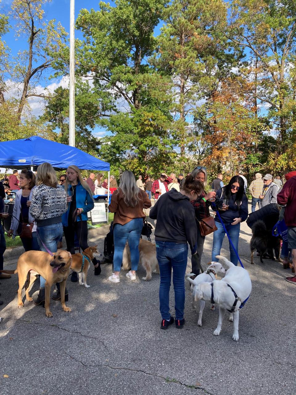 Dogs explore during the Growl-er Brewfest in Brighton on Sunday, Oct. 17, 2021.