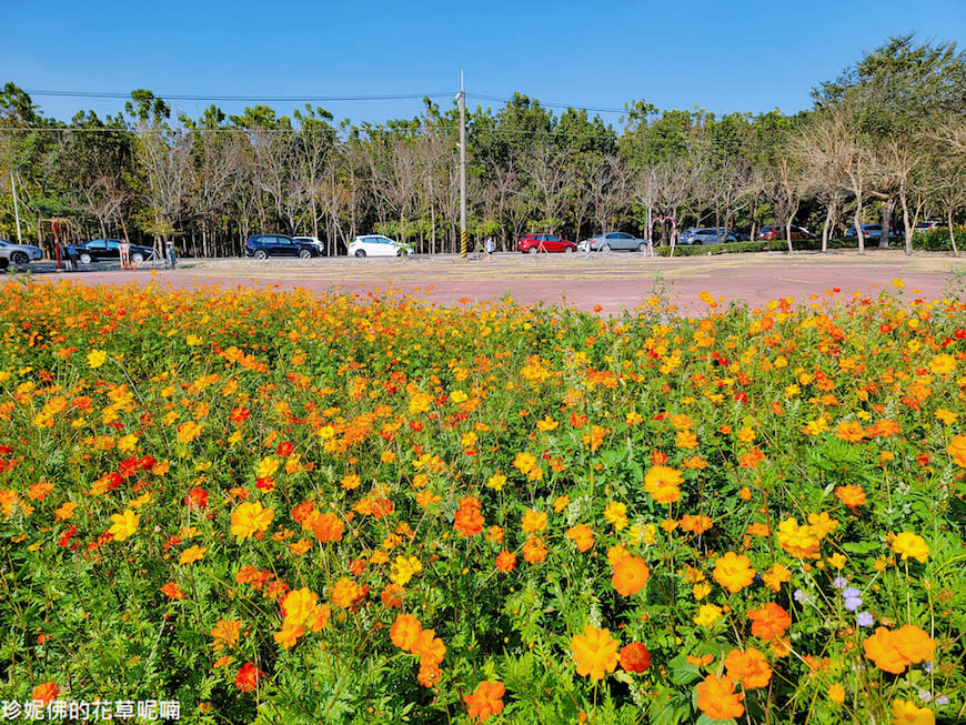 屏東｜新埤鄉綜合休閒公園