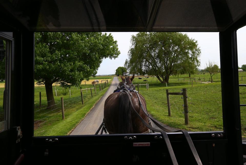 An Amish horse is seen on the road in Central Pennsylvania, United States on April 30, 2017.