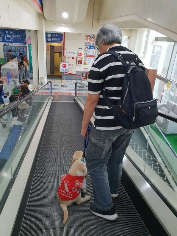 導盲幼犬穿上紅背心到處體驗行走空間，圖為Ethan跟寄養媽媽何佳珍逛大賣場。圖／何佳珍提供
